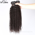 VIrgin Afro Kinky Curly Human Hair Weave CUticle Intact Best Selling